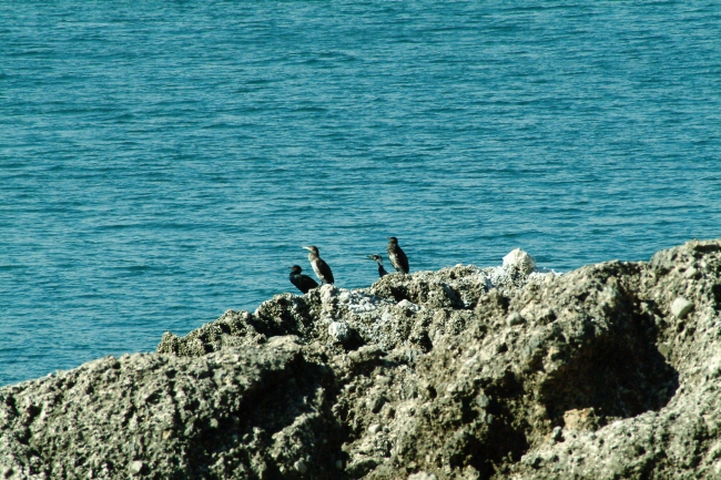 Porticciolo romano - Formia
